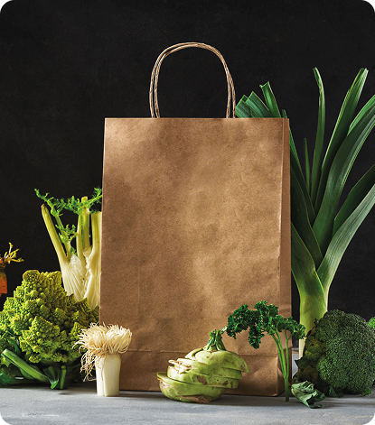 Kraft Paper Bag